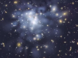 This NASA Hubble Space Telescope image shows the distribution of dark matter in the center of the giant galaxy cluster Abell 1689, containing about 1,000 galaxies and trillions of stars. Dark matter is an invisible form of matter that accounts for most of the universe's mass. Hubble cannot see the dark matter directly. Astronomers inferred its location by analyzing the effect of gravitational lensing, where light from galaxies behind Abell 1689 is distorted by intervening matter within the cluster. Researchers used the observed positions of 135 lensed images of 42 background galaxies to calculate the location and amount of dark matter in the cluster. They superimposed a map of these inferred dark matter concentrations, tinted blue, on an image of the cluster taken by Hubble's Advanced Camera for Surveys. If the cluster's gravity came only from the visible galaxies, the lensing distortions would be much weaker. The map reveals that the densest concentration of dark matter is in the cluster's core. Abell 1689 resides 2.2 billion light-years from Earth. The image was taken in June 2002. Credit: NASA, ESA, D. Coe (NASA Jet Propulsion Laboratory/California Institute of Technology, and Space Telescope Science Institute), N. Benitez (Institute of Astrophysics of Andalusia, Spain), T. Broadhurst (University of the Basque Country, Spain), and H. Ford (Johns Hopkins University)