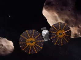 An artist's depiction of the Lucy spacecraft flying past a pair of Trojan asteroids. (Image credit: NASA's Goddard Space Flight Center)