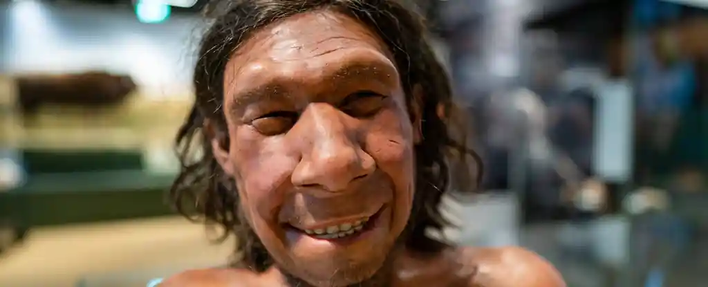 The reconstruction of a male Neanderthal face on display in a museum. (Bart Maat/AFP/Getty Images)