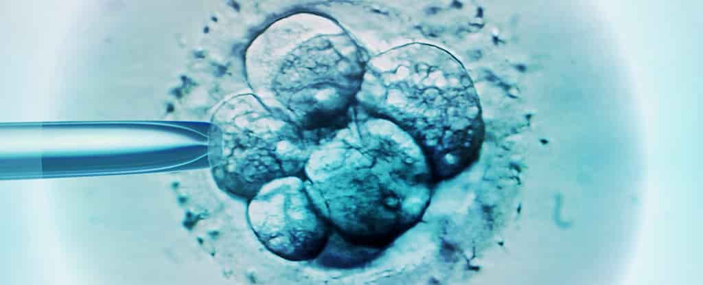 Synthetic Human Embryo Models: Breaking the Code
